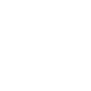 Super-liiton logo